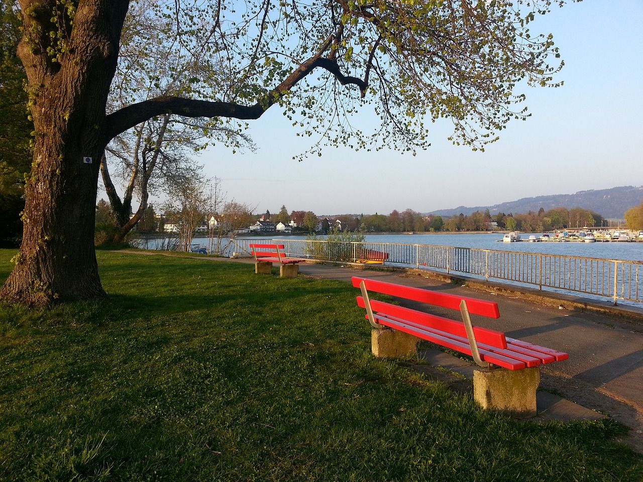 系的建设和 系的建设和