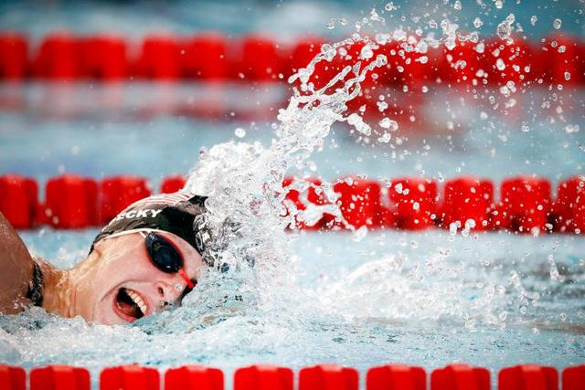 的职业生涯 的职业生涯