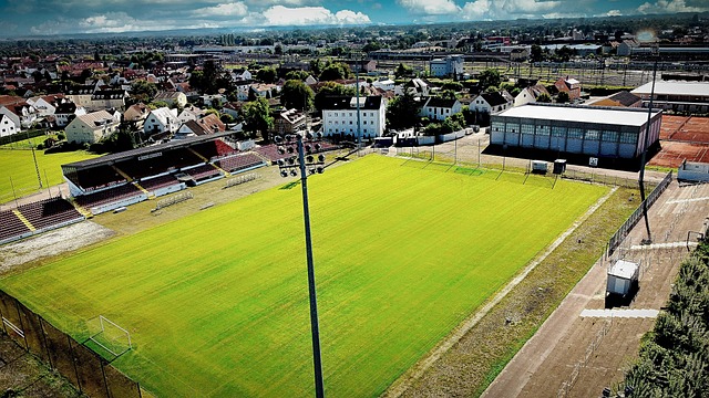 也为未来的 也为未来的