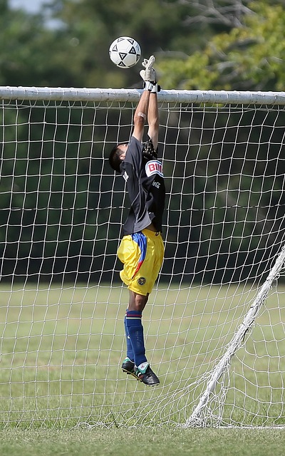 也让这次淘 也让这次淘